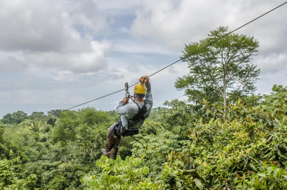 A zipline rider crossing a vast forest canopy